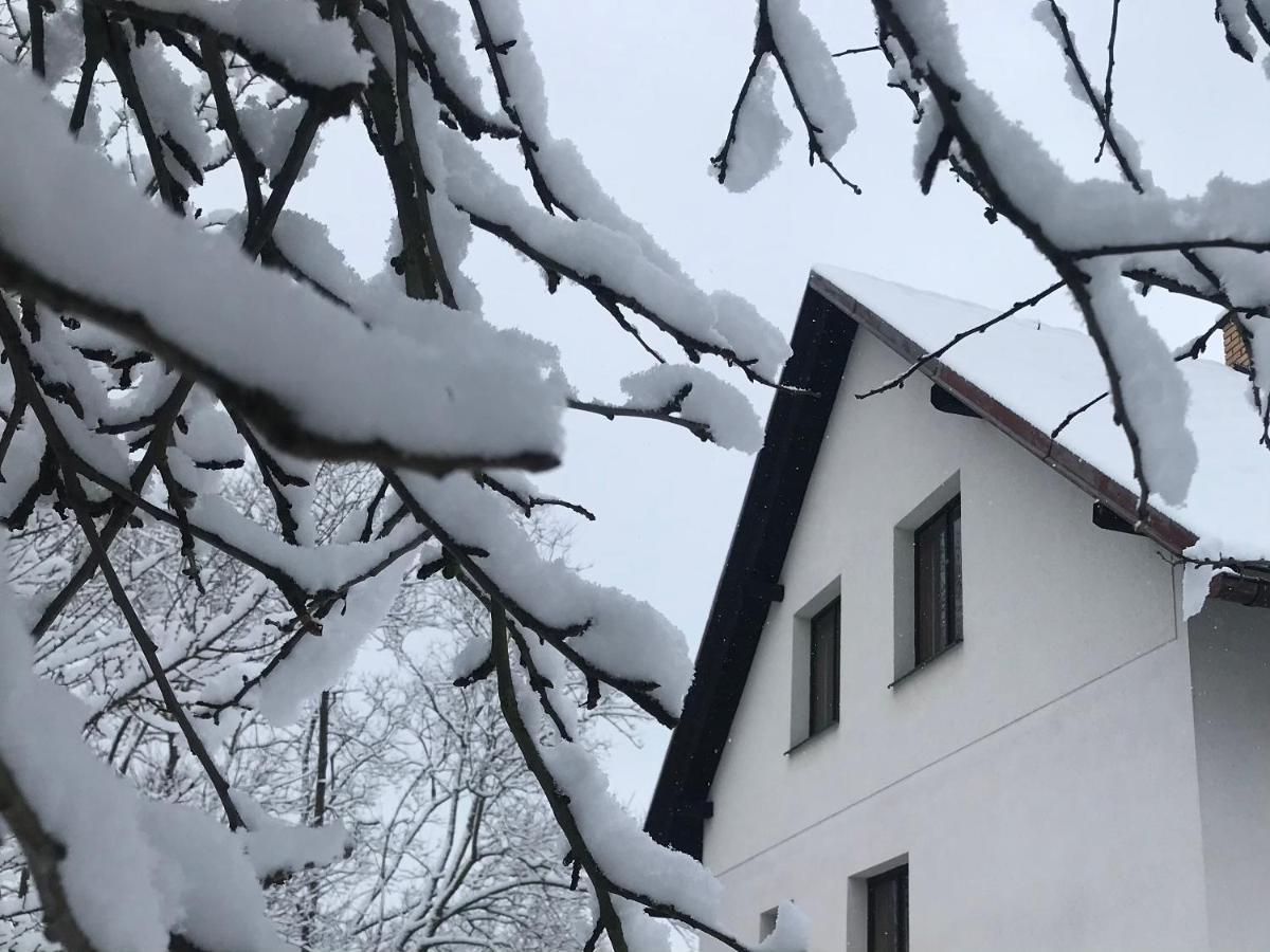 Apartmán Ivko Letohrad Exteriér fotografie