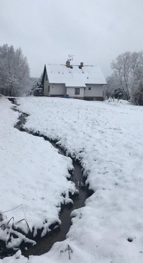 Apartmán Ivko Letohrad Exteriér fotografie