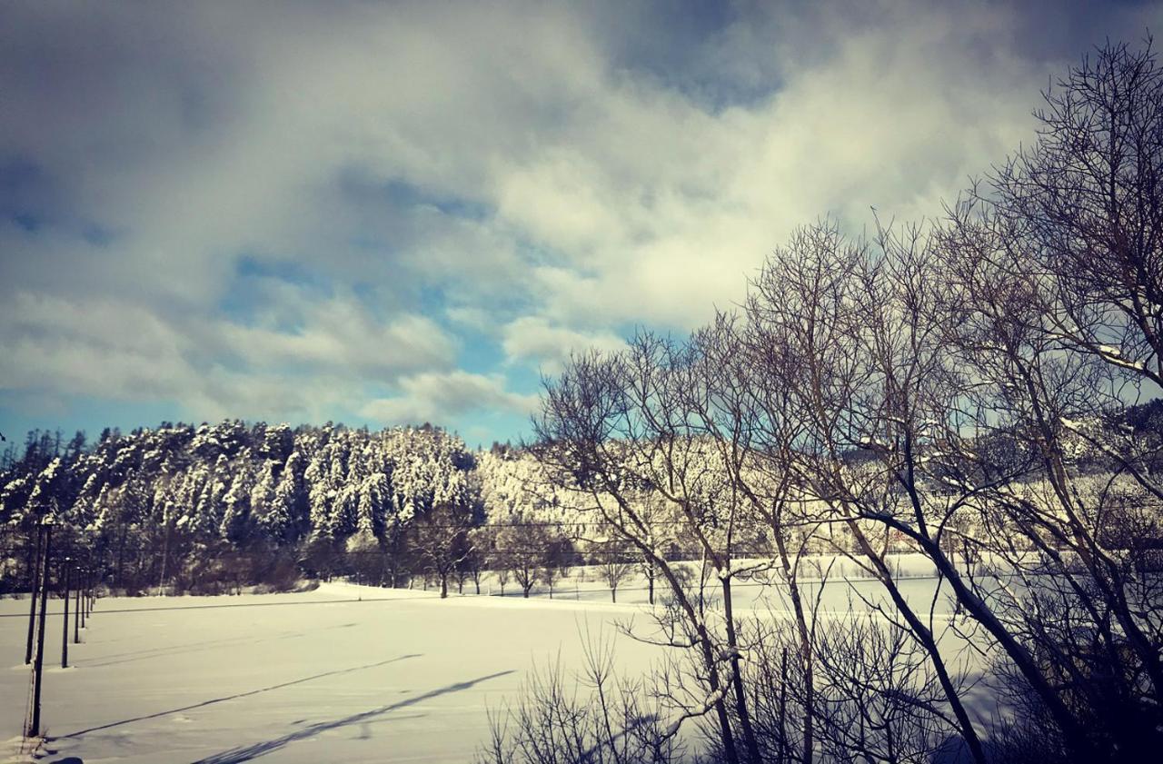 Apartmán Ivko Letohrad Exteriér fotografie
